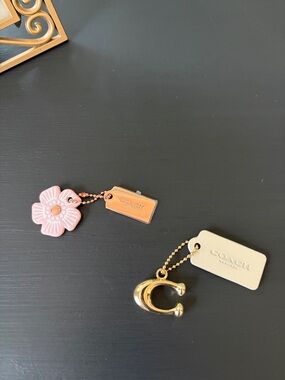 Coach Pink Flower and Gold-Tone Charm Keychain Duo